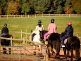 Tn IMG 1476